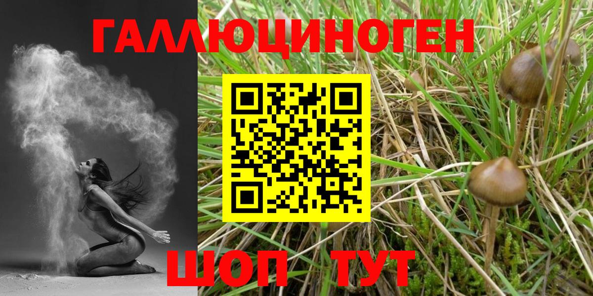 Галлюциногенные грибы Magic Shrooms Ирбит