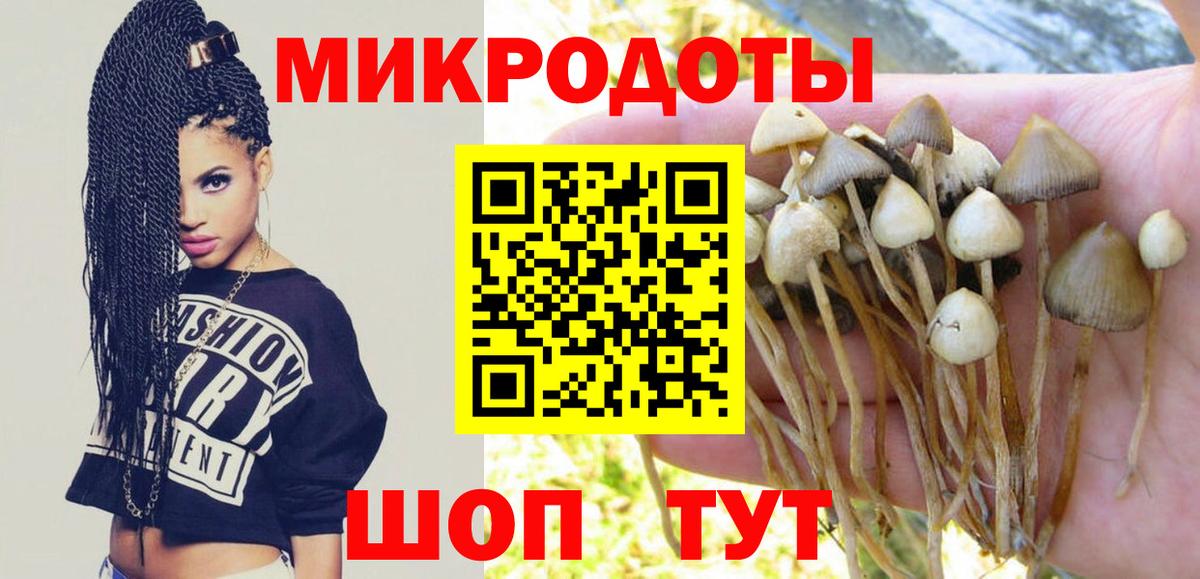 Псилоцибиновые грибы ЛСД  Псилоцибиновые грибы прущие грибы  Ирбит  Вход с VPN 